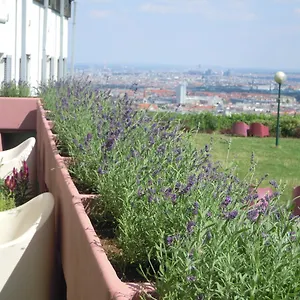 Palace Wenen